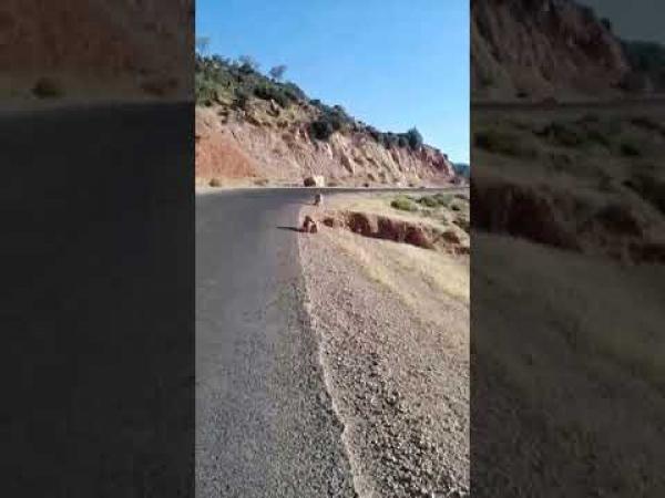 ردو بالكم..مواطنون يفضحون الغش ويحذرون أصحاب المركبات من خطر انهيار جرف بطريق جبلية (فيديو)