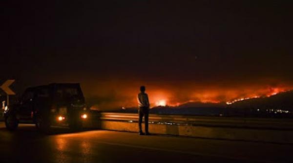 62 قتيلا في حريق هائل وسط البرتغال والحكومة تعلن الحداد ثلاثة أيام