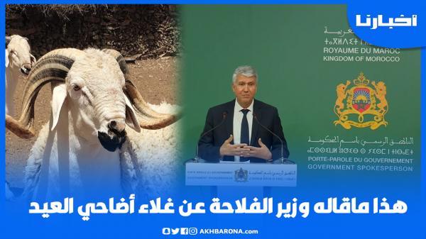 وزير الفلاحة عن غلاء أضاحي العيد: لاش كنشوفو غير هداك د5000 درهم، كاين 800 و1000 درهم