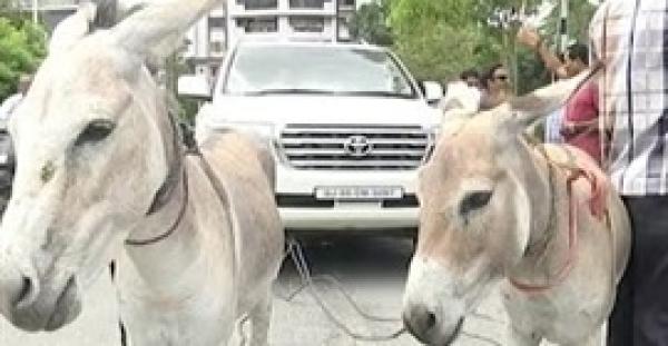 بالفيديو.. رجل أعمال يحول سيارته الفخمة إلى عربة يجرها حمارًا