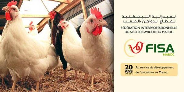 الفيدرالية البيمهنية لقطاع الدواجن تحصل على ميزانية أمريكية مخصصة لمهنيي بلدان إفريقيا الغربية