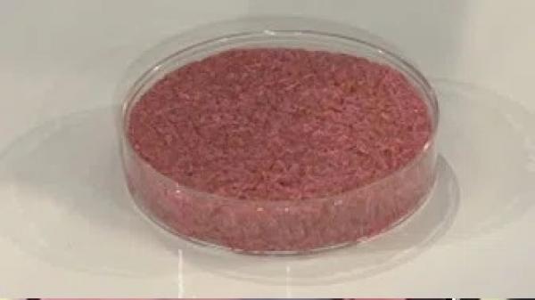 لحوم اصطناعية وخضر تنمو من دون تربة: أية عواقب على الإنسان والبيئة؟