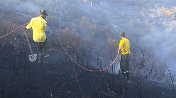 حريق غابة "خندق تسيانة" بغفساي.. فرق التدخل تنجح في تحويط بؤر النيران