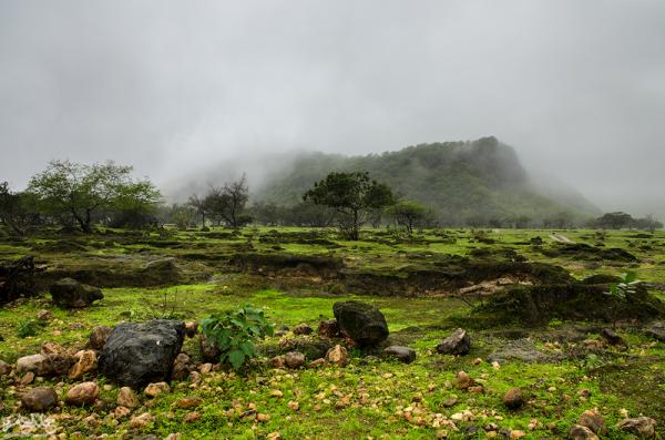 اجراءات عملية بسيطة لراحة العين وتحسين النظر