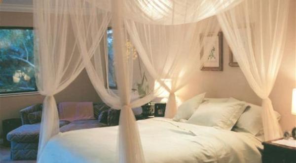 8 طرق أساسية للوقاية من فيروس زيكا