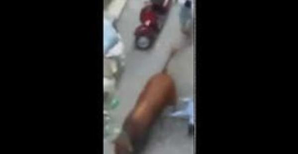 بالفيديو.. عجل هائج يقفز من سيارة ويطيح بطفل في طريقه