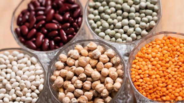 دارسات: الفاصولياء تقلل من خطر الإصابة بأمراض القلب