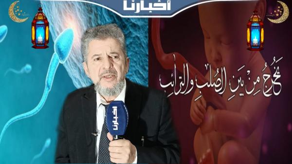 هل يتكون الجنين من ماء الخصيتين أم من الصلب والترائب؟