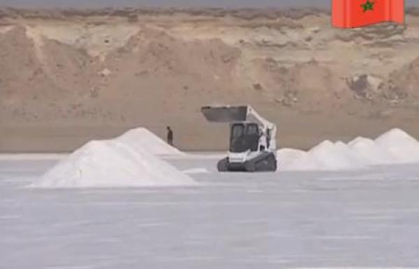 المغرب يتطلع إلى المرتبة الثالثة عالميا في انتاج الملح