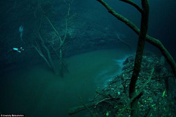 ظاهرة فريدة... نهر طبيعي يتدفق أسفل كهف ممتلئ بماء البحر