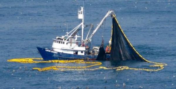 مهنيو قطاع الصيد البحري يطالبون بلقاء بنكيران