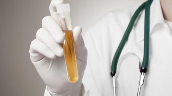 دراسة: "البول" غسول للفم ومطهر للكلى عند الرومان القدماء