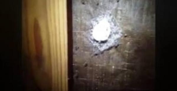 بالفيديو.. لحظة فقس بيضة عنكبوت وخروج مئات العناكب الصغيرة