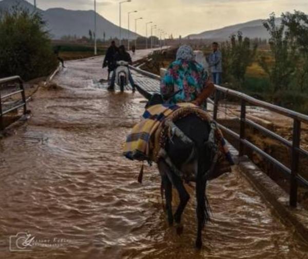 صورة عن صفحة "تونفيت فوتوغرافي"