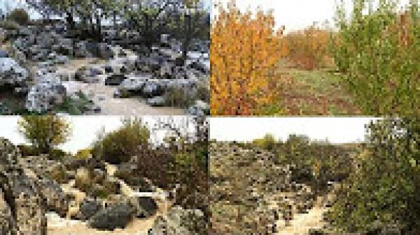 مناظر جميلة و رائعة اليوم بافران