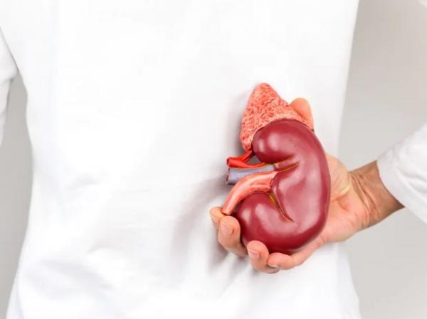 تستعين بالفايسبوك للبحث عن الراغبين في بيع كلاهم ... معطيات جديدة حول توقيف عصابة متورطة في الاتجار بالأعضاء البشرية