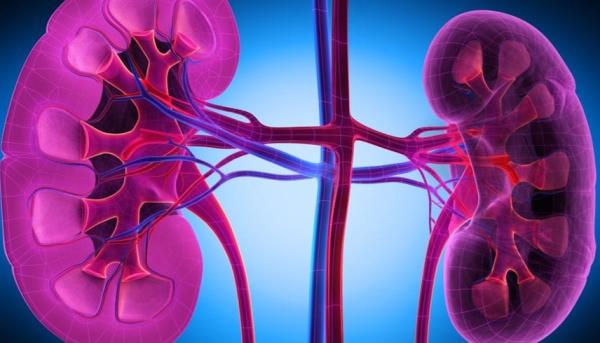 هكذا تحمي كليتيك.. خطوات غذائية تقلل خطر تكرار الحصى المؤلمة