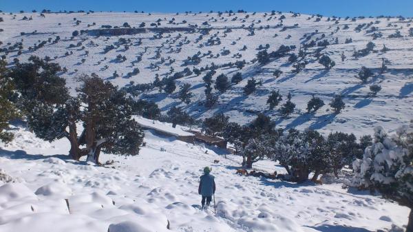 بالفيديو... مستشار جماعي يوجه نداء استغاثة للعامل ويؤكد عطش الساكنة لمدة 40 يوما