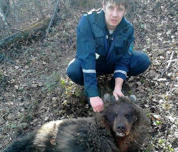 روسية تنجو بأعجوبة بعد محاولة دب قتلها ودفنها في غابة