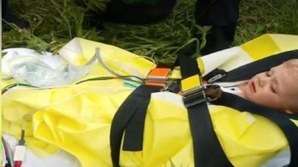 العثور على طفل عمره أقل من سنتين في غابة