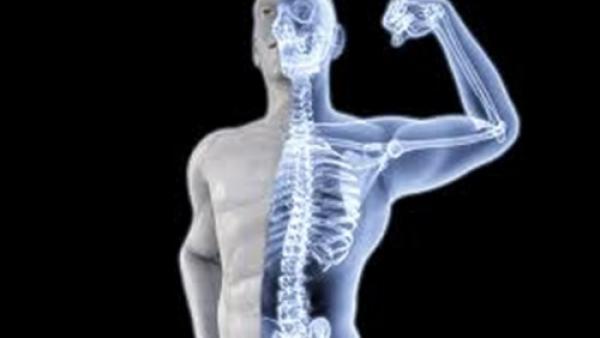 6 نصائح لتقوية العظام وحمايتها من الهشاشة