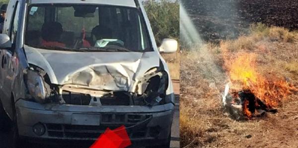 خنزير بري يتسبب في حادثة سير خطيرة ويستنفر مصالح المياه والغابات والدرك (صور)