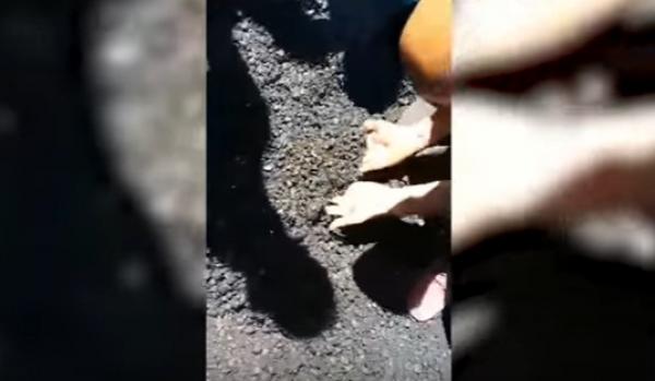 بالفيديو...طريق معبدة بزفت مغشوش أقرب إلى "الكسكس" تؤجج غضب الحسيميين