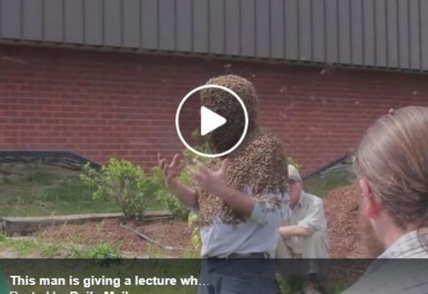 بالفيديو: رجل يلقي محاضرة ورأسه مغطى بآلاف النحلات