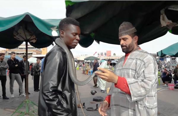 من السنغال إلى مراكش ـ أفارقة يقبلون على تعلم اللهجة المغربية