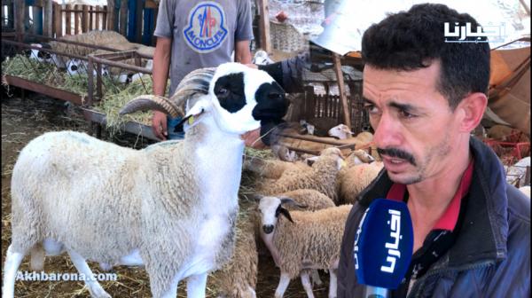 كسابة من أكادير: الحوالة قلال وغاليين هاد العام الخروف تزاد بـ1000 درهم