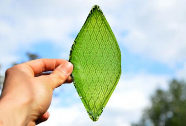 اختراع أول نبات صناعي قادر على "التنفس" طبيعيا