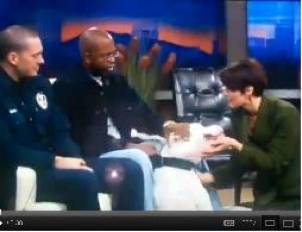 كلب يهاجم  مذيعة أمريكية على الهواء 