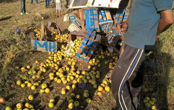 مشات الإنسانية...بالتفاصيل ، انقلاب سيارة كبيرة محملة بصناديق التفاح ومجهول يستغل الحادثة و يسرق السائق