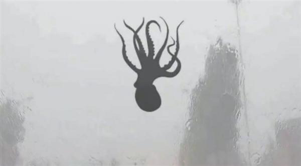 السماء تمطر حيوانات بحرية في الصين