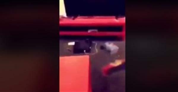 فيديو طريف لفأر يلقن عائلة درسًا قاسيًا (فيديو)