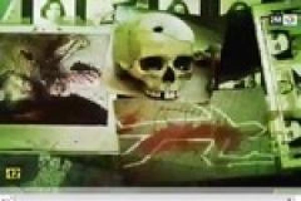 أخطر المجرمين: زويتة، وهم الذكاء 