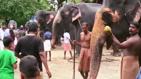 يزور ابنتهم في منتصف الليل فيكون مصيره القتل