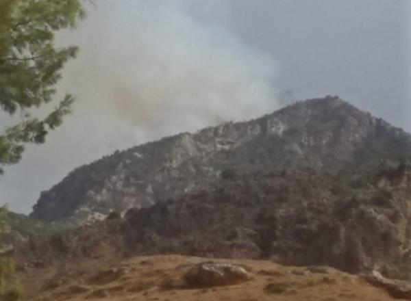 حريق مهول يلتهم مساحات جبلية شاسعة باقليم بني ملال