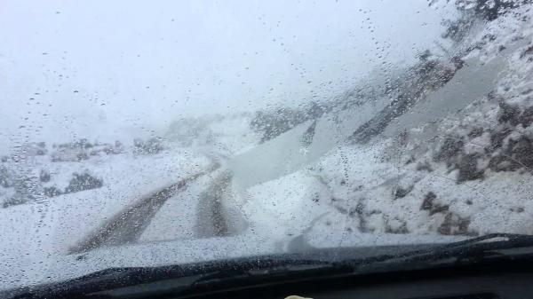 بالصور... رحلة سياحية للاستمتاع بالثلوج تتحول إلى فاجعة