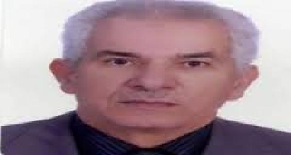 عن الطعن السياسي والطعن القضائي في الانتخابات