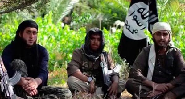 الصورة من الأرشيف