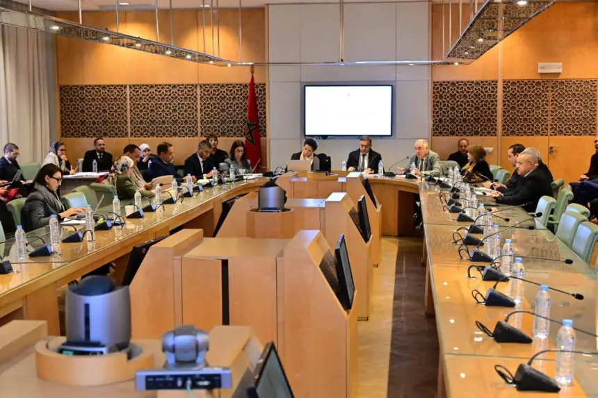 بنعلي: تحويل ONHYM إلى شركة مساهمة يكرّس السيادة الطاقية ويقطع مع التبعية