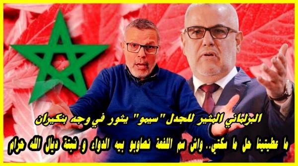 البرلماني السيمو لبنكيران: ما عطيتينا حل ما سكتي، هدي نبتة ديال الله غدي تحل مشاكل كثيرة