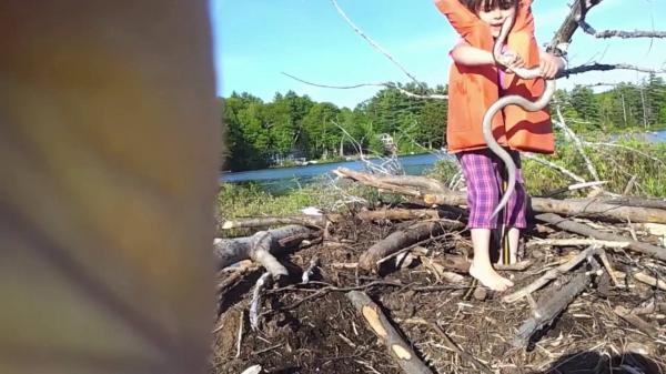 بالفيديو: طفلة شجاعة تصطاد أفعى بيديها