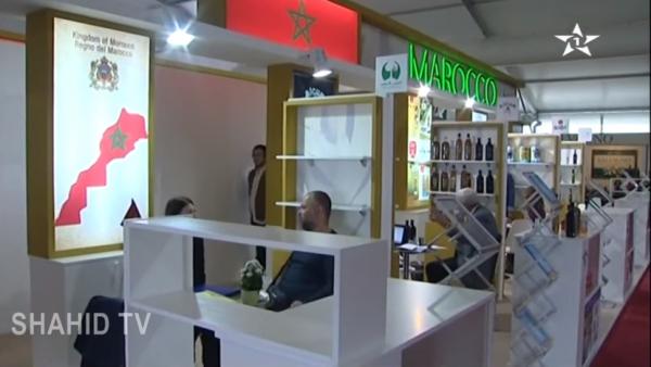 أسباب الارتفاع في أسعار زيت الزيتون