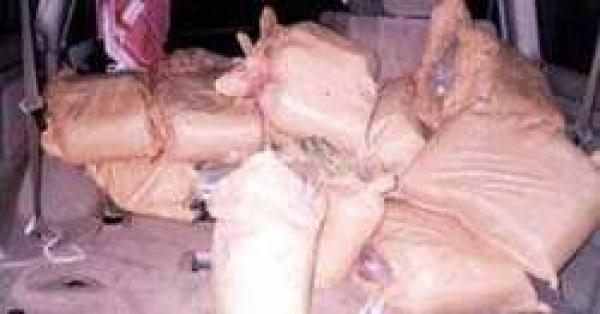 في سابقة أدهشت البوليس والجمارك: حشيش وسط اللبن