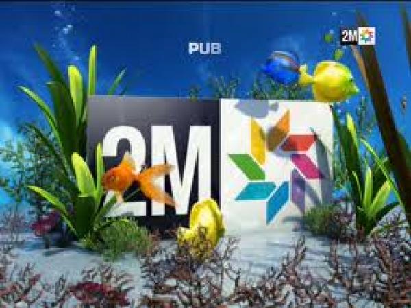 القناة الثانية تستعد للاستغناء عن 20بالمائة من موظفيها