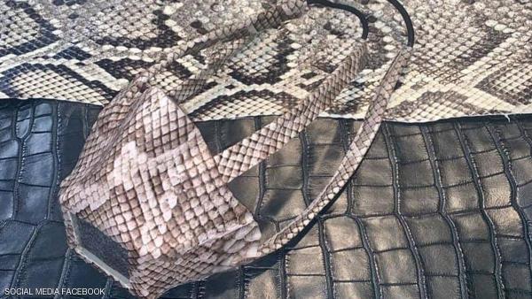 كمامات من جلود الثعابين تثير الجدل في الأسواق الأمريكية