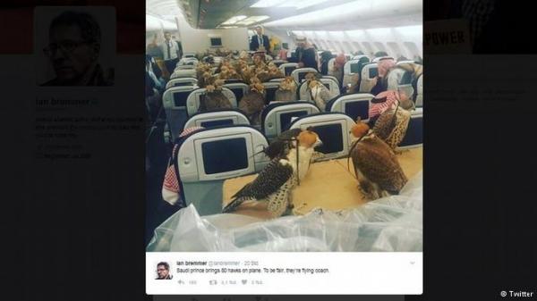 عجيب ..."أمير سعودي" يشتري 80 بطاقة طيران لصقوره !