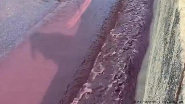 سيل من "النبيذ" يجتاح شوارع قرية في البرتغال وسط دهشة السكان